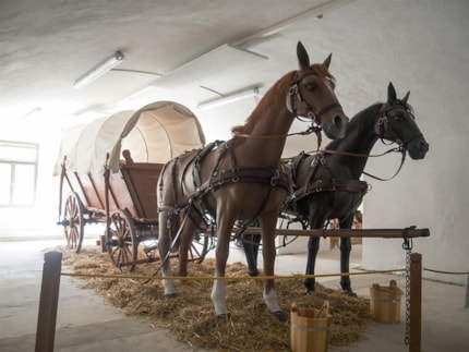 Expozition Terezín – the city of change