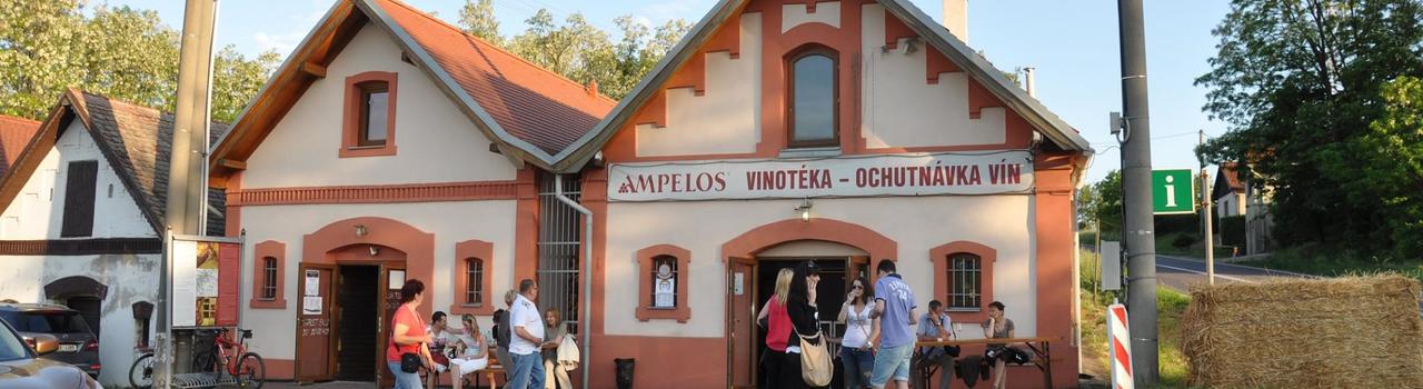 Vinotéka