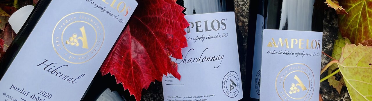 Chardonnay, Hibernal, Sauvignon a Rulandské šedé