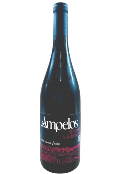 Neronet/Blauburger 2023