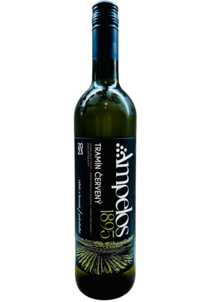 Tramín červený 2023