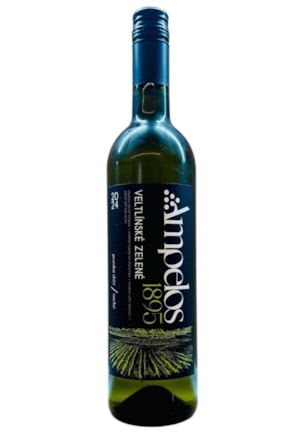 Veltlínské zelené 2024