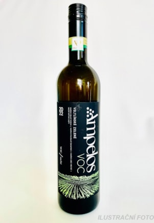 Veltlínské zelené 2024 VOC