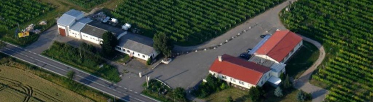 130 let od založení Šlechtitelské vinařské stanice ve Znojmě