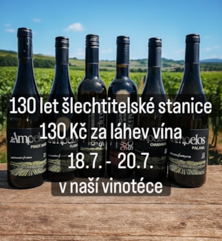 130 let šlechtitelské stanice, 130 Kč za láhev vína
