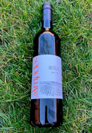 Muškát moravský 2025