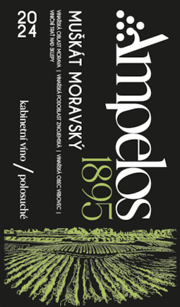 Muškát moravský 2024