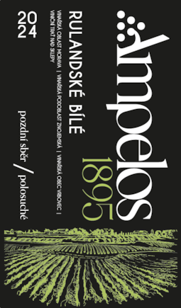 Rulandské bílé 2024