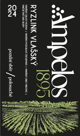 Ryzlink vlašský 2024