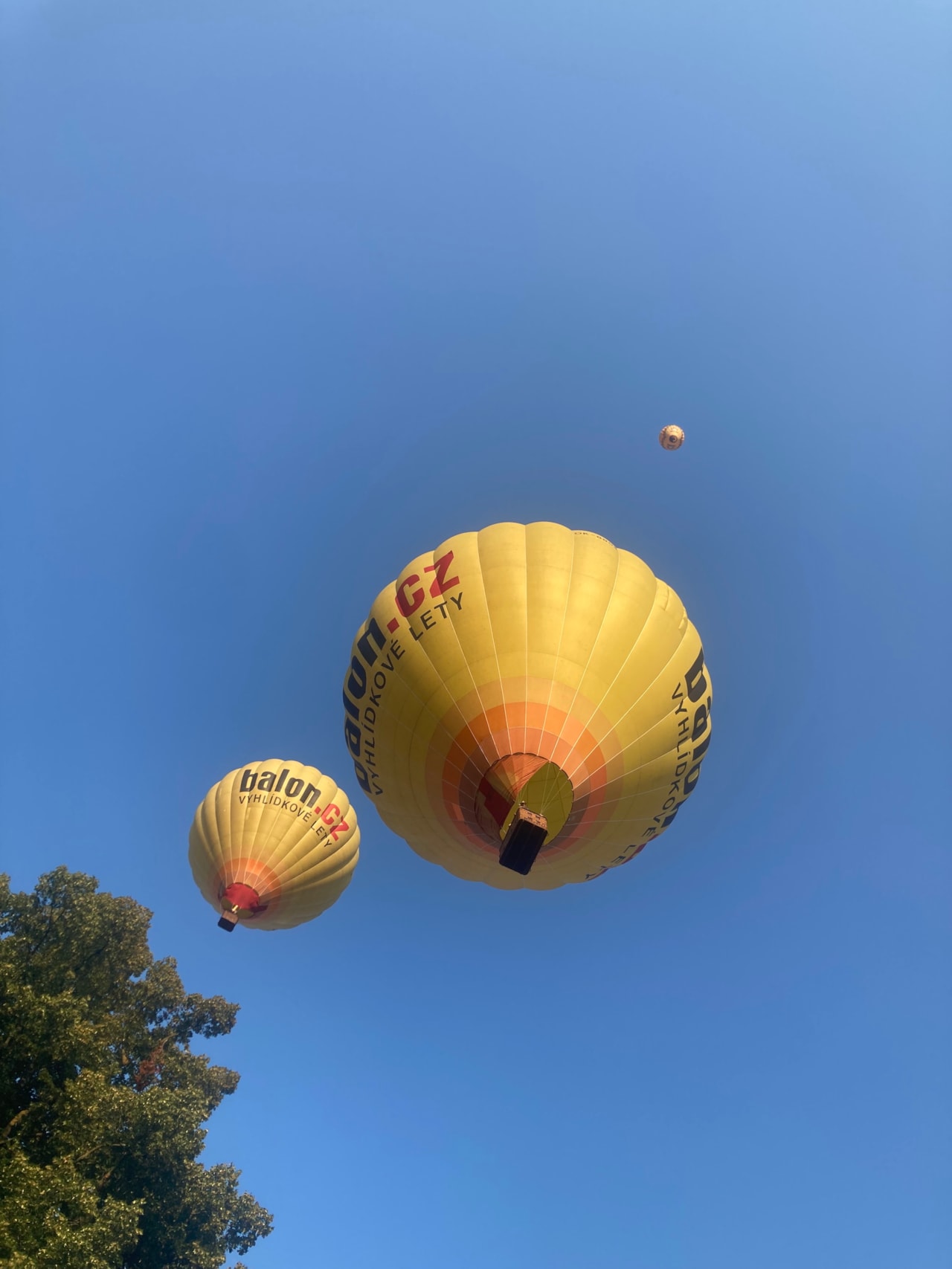 Horký páteční večer v zámeckém parku