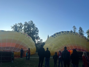 IMG_3114.jpeg