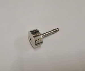 Suspension screw Sirius