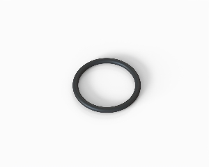 O-ring 10x1