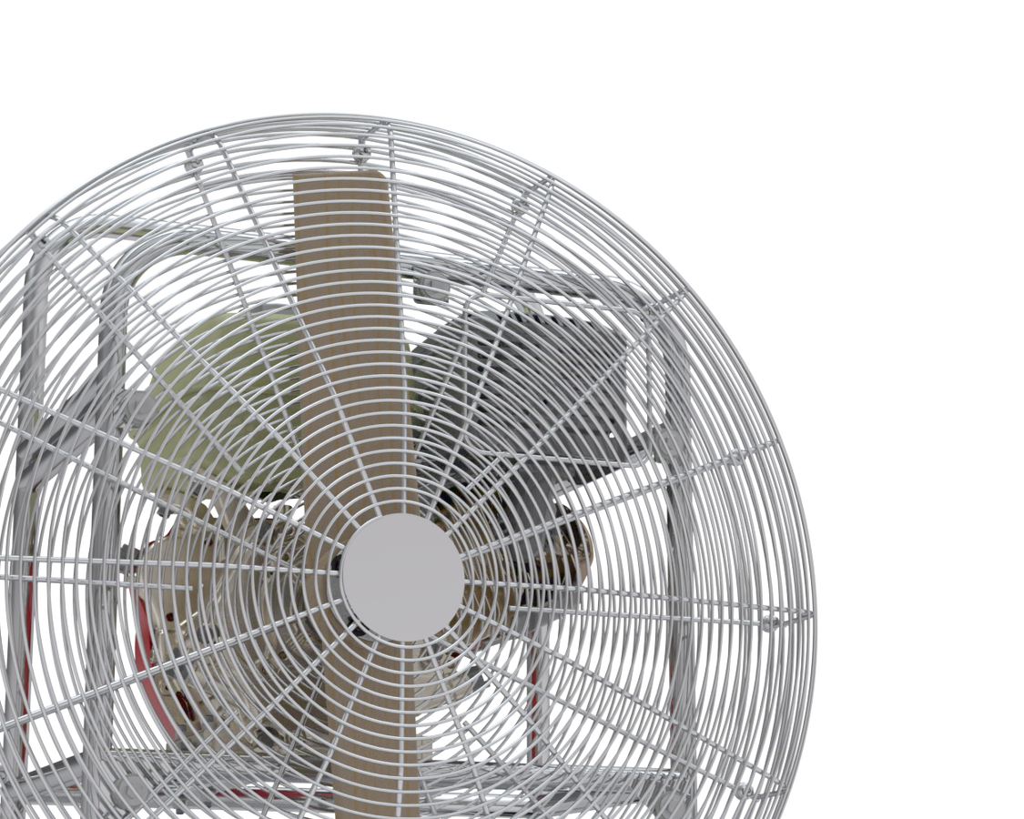 fans@AXDtCITBAYQsPRGSBx3Z.png?w=1125