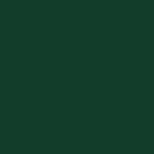 KUBICEK POLYESTER, dark green