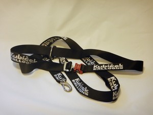 Pilot restraint harness