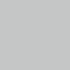 KUBICEK POLYESTER LIGHT/N, silver
