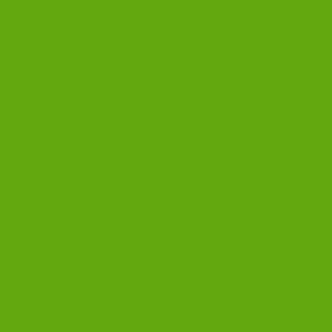 KUBICEK POLYESTER LIGHT/N, light green