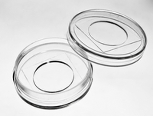 glass_top_glass_bottom_dish_35_20_medium