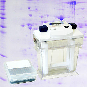 2D Gel elektroforézy