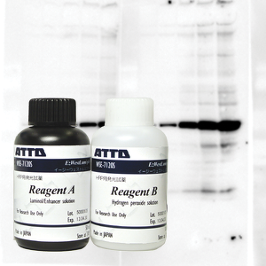 Reagencie a membrány pro blotting