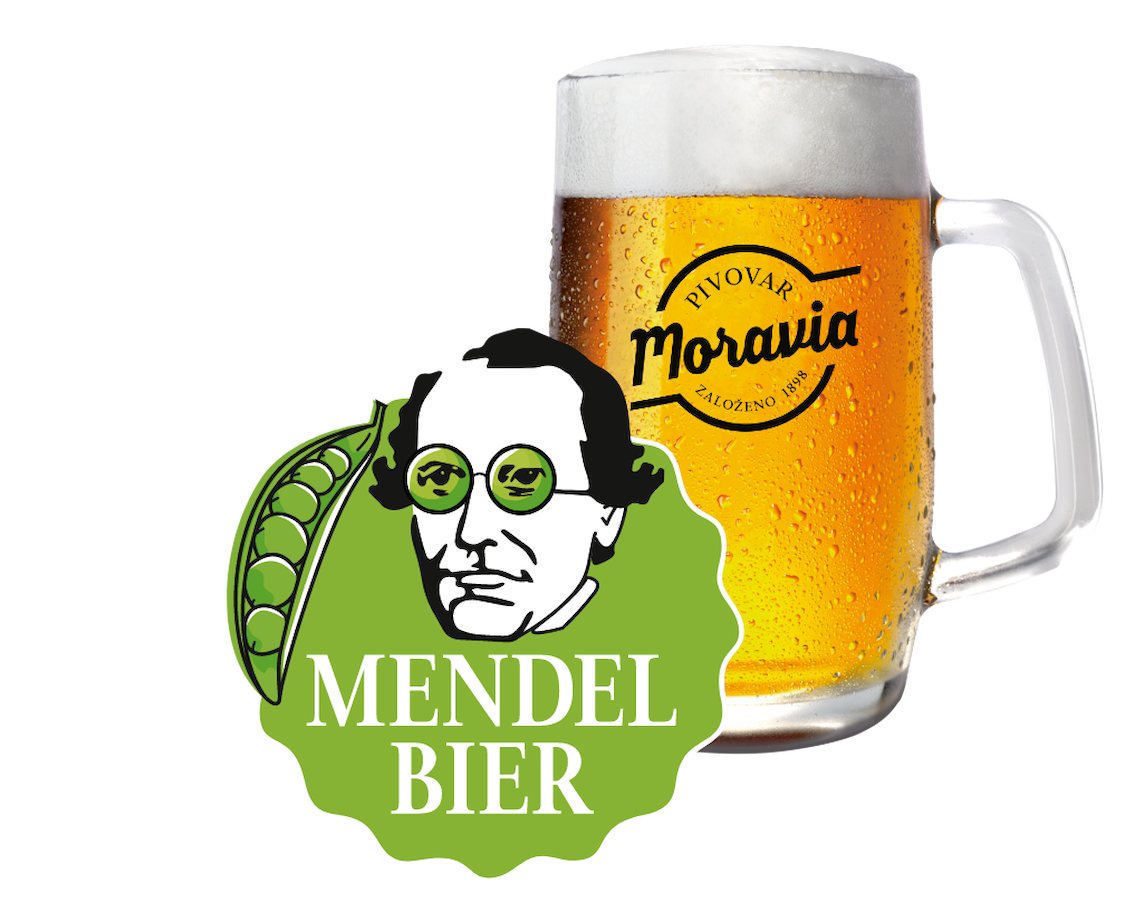 Mendelbier 12