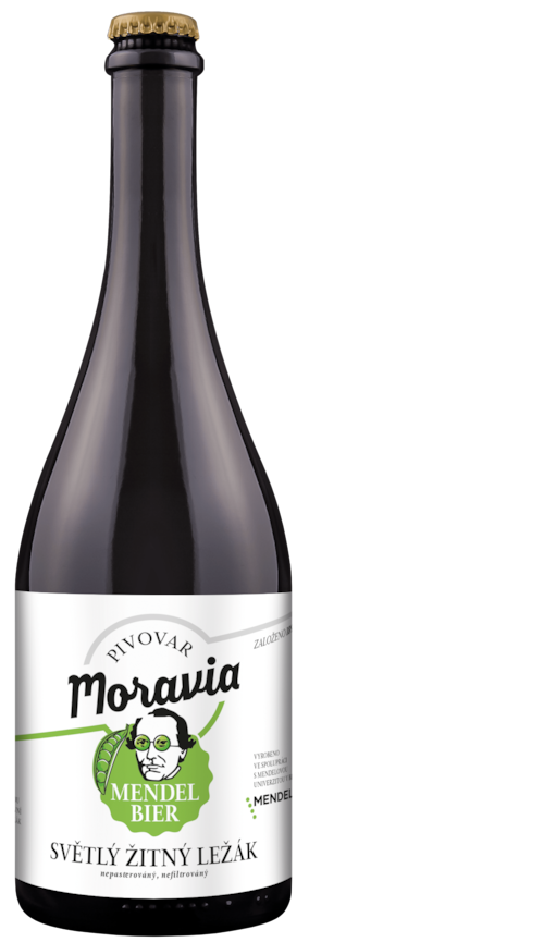 mendel-bottle-new