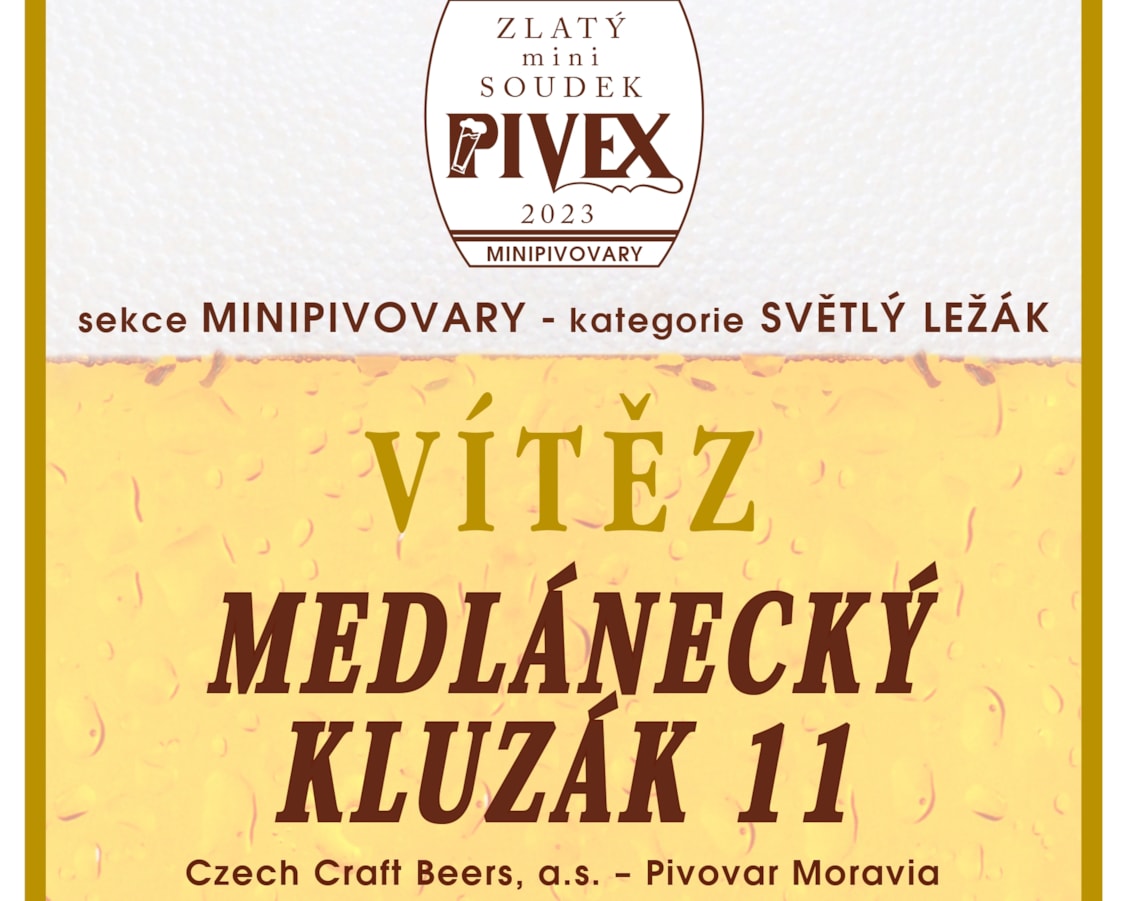 Medlánecký Kluzák - THE WINNER OF PIVEX