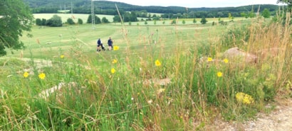 Maraton 2023 - 8 z 13.jpeg