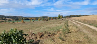 WhatsApp Image 2023-10-21 at 17.35.16.jpeg