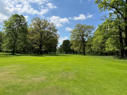 Šilheřovice - 10 z 16.jpeg