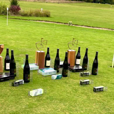 Mistrovství klubu ve hře na rány 2025