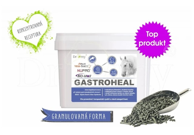 Dromy Gastroheal koncentrát 3kg
