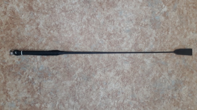 Bičík kožený hladký s poutkem černý