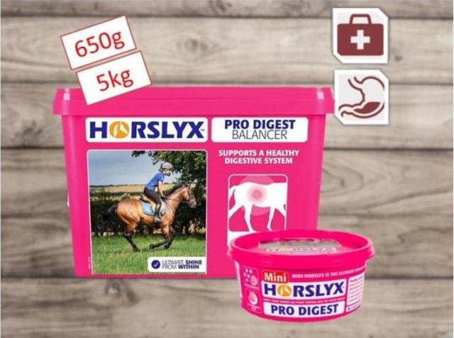 Liz pro koně HORSLYX Pro Digest 650g