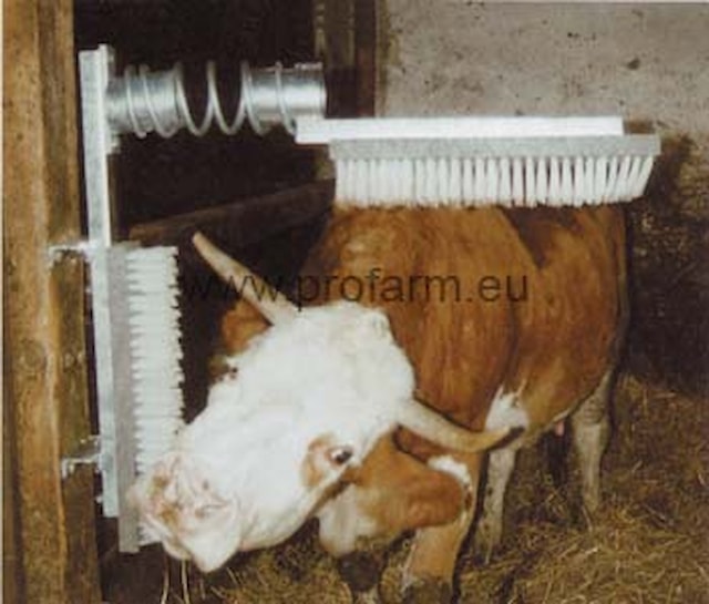 Kartáč náhradní, plastový, 50 x 10 cm k drbadlu EuroFarm a Texas