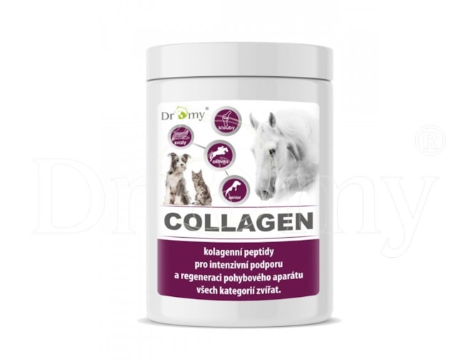 collagen plus