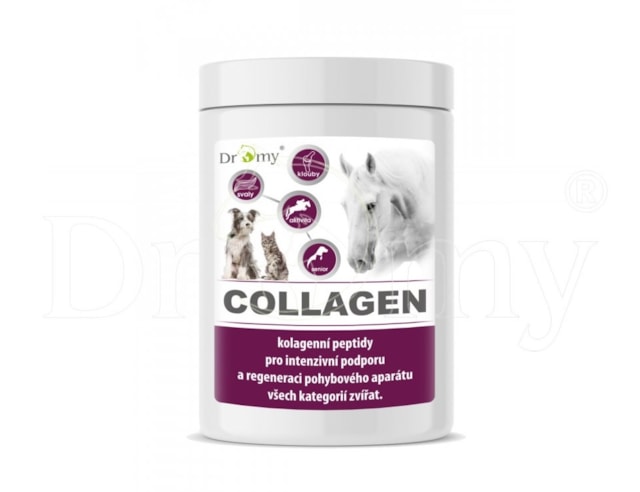 Dromy Collagen Plus