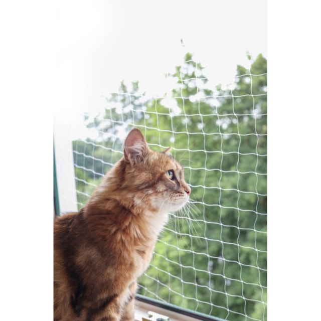 Síť pro kočky ochranná, 2 x 3 m