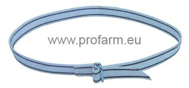 Řemen krční bílý pro značení skotu s pruhy /130 cm/