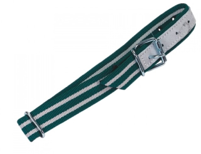 Obojek pro telata Standard 85x4 cm