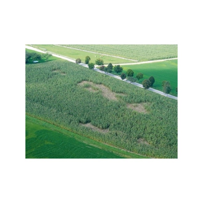 sit-pro-elektricke-ohradniky-proti-divoke-zveri-wildnet-90-cm-50-m-1-hrot-modra