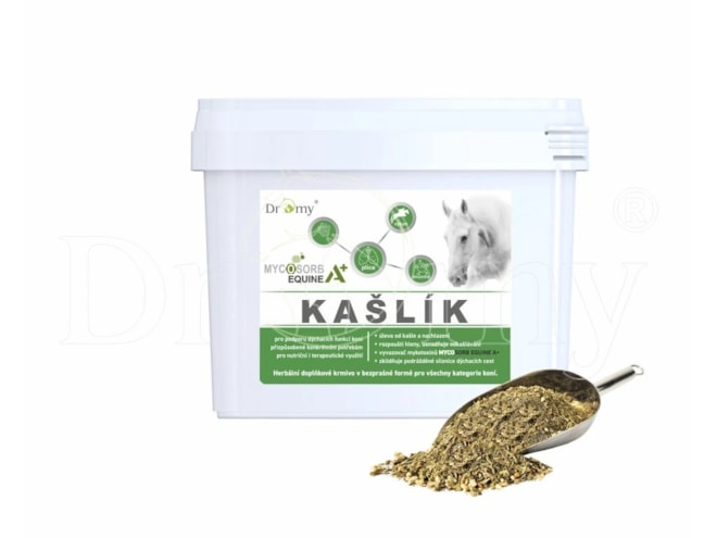 kaslik