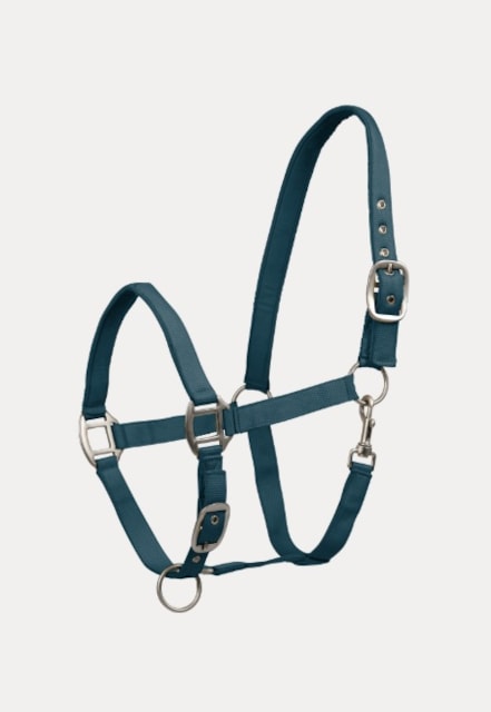 Ohlávka Waldhausen Satin podložená petrol blue