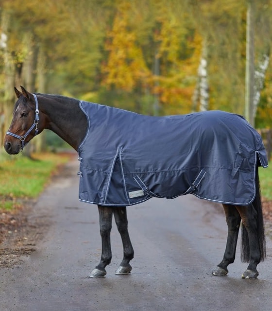Deka výběhová lehká Waldhausen Economic prodloužený krk modrá 165