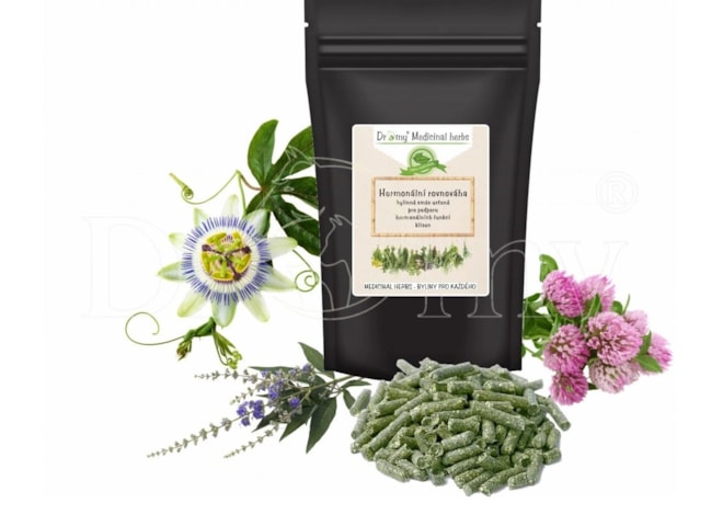 hormonalni rovnovaha