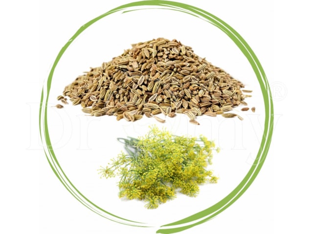 Dromy Fenykl plod hořký 500g