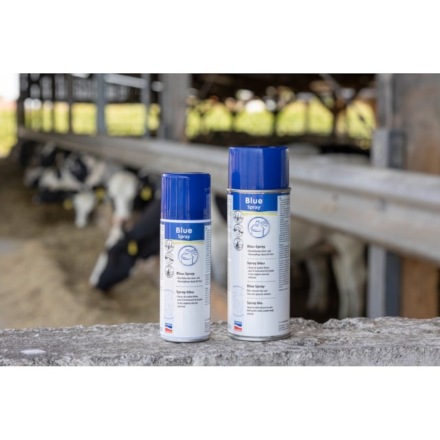 Skin Care - Blue Spray (200 ml)