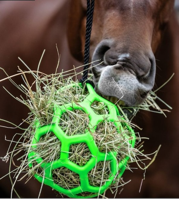 sit na seno na zaveseni