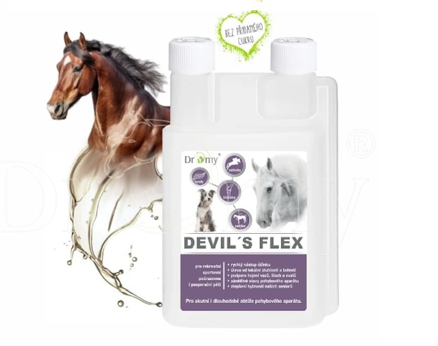 DROMY DEVIL´s Flex 1l